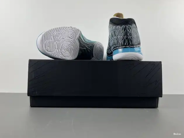 Boostmaster lin UNC 318376-041 Jordan 23 0612